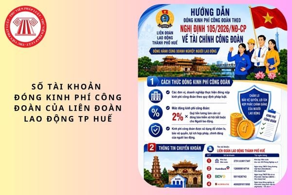 Pháp luật