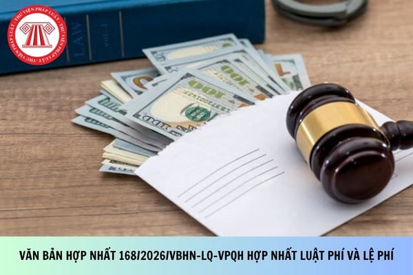Pháp luật