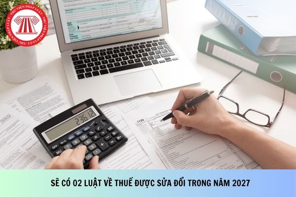 Pháp luật