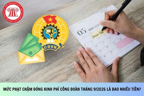 Pháp luật