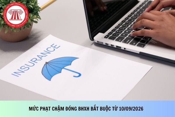 Pháp luật
