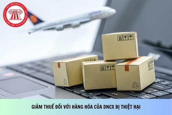 Công văn 18287/CHQ-NVTHQ giảm thuế đối với hàng hóa của DNCX bị thiệt hại?