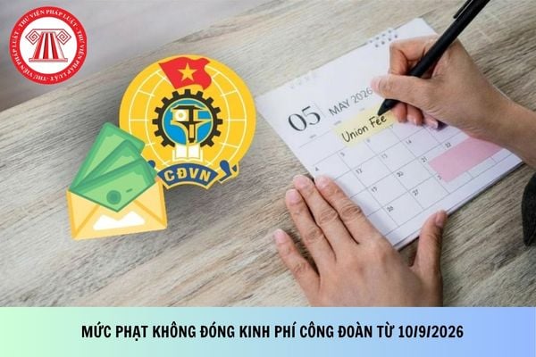 Pháp luật