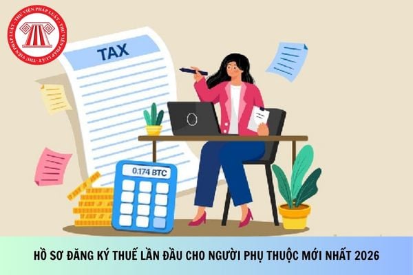 Pháp luật