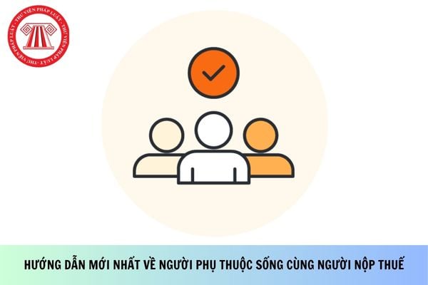 Pháp luật