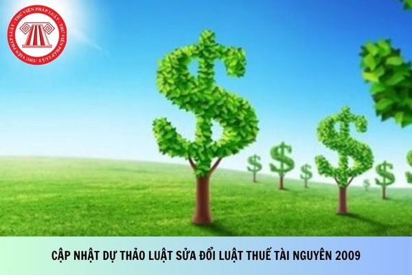 Pháp luật
