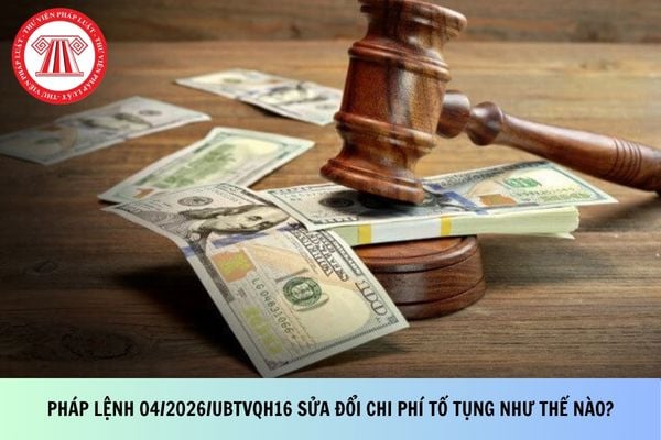 Pháp luật