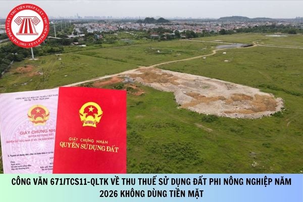 Pháp luật