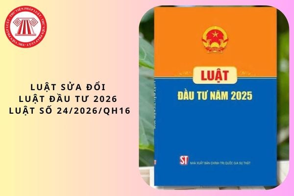 Pháp luật