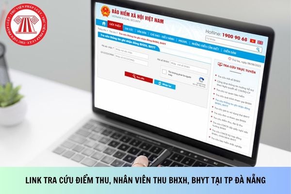 Pháp luật