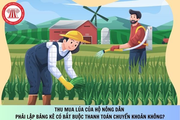 Thu mua lúa của hộ nông dân phải lập bảng kê có bắt buộc thanh toán chuyển khoản không?