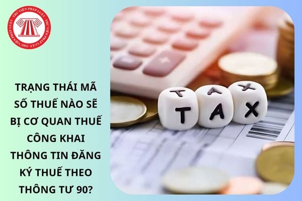 Pháp luật
