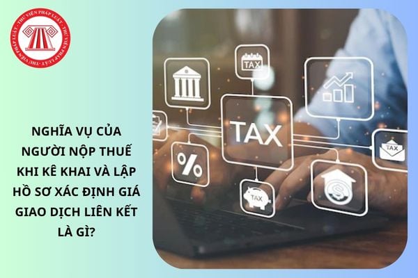 Pháp luật