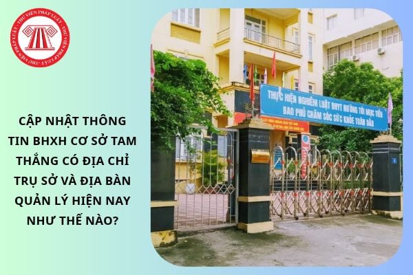 Pháp luật