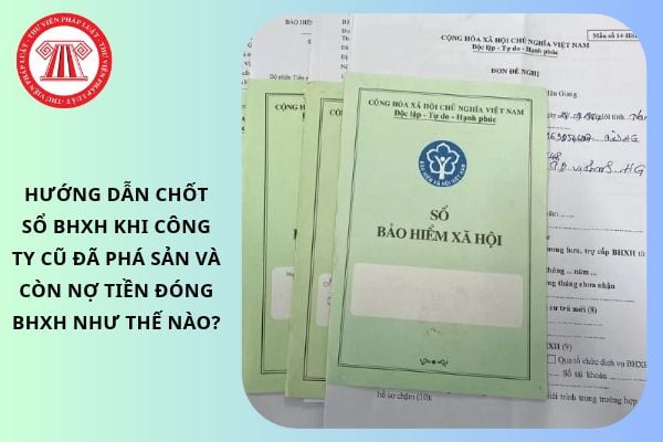 Pháp luật