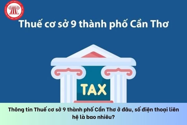 Pháp luật
