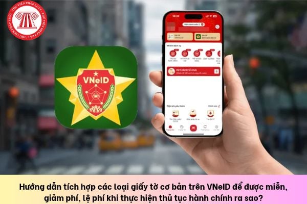 Pháp luật