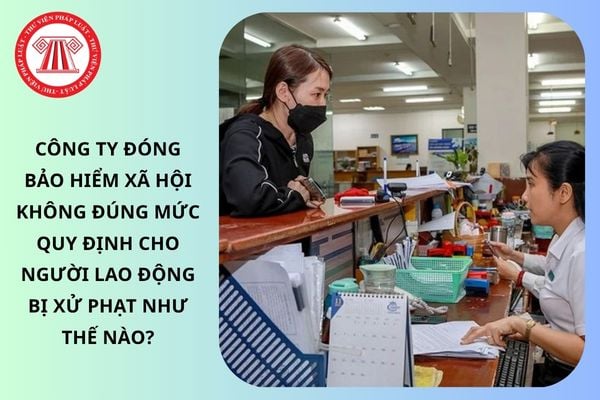 Lao Động Tiền Lương