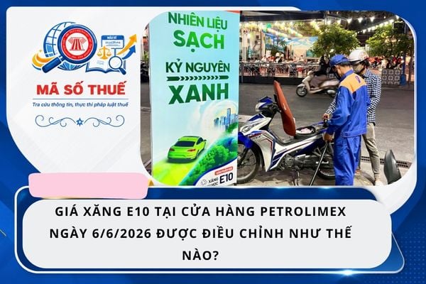 Pháp luật