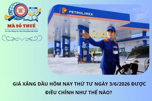 Pháp luật
