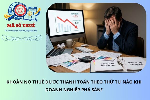Pháp luật