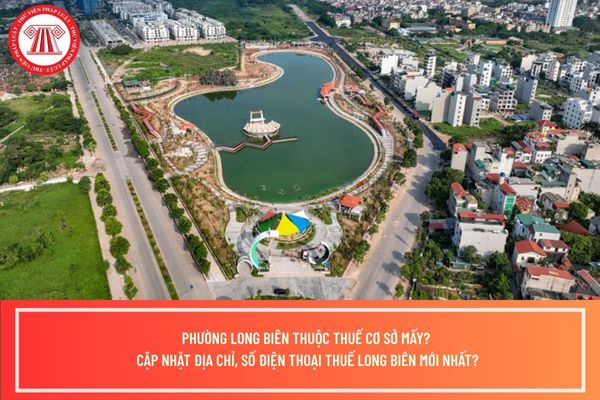 Pháp luật