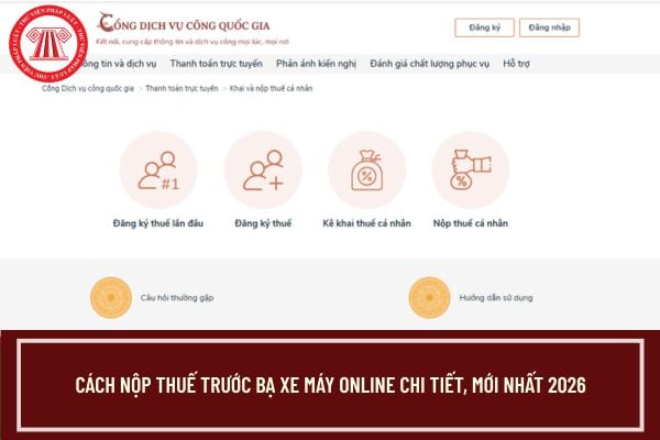 Pháp luật