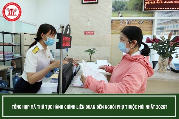 Pháp luật
