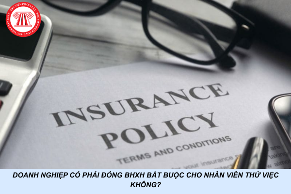 Doanh nghiệp có phải đóng BHXH bắt buộc cho nhân viên thử việc không?