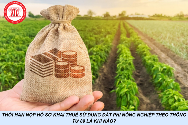 Thời hạn nộp hồ sơ khai thuế sử dụng đất phi nông nghiệp theo Thông tư 89 là khi nào?