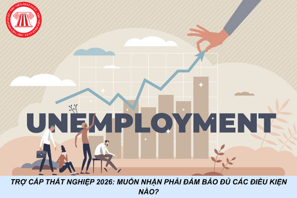 Trợ cấp thất nghiệp 2026: Muốn nhận phải đảm bảo đủ các điều kiện nào?