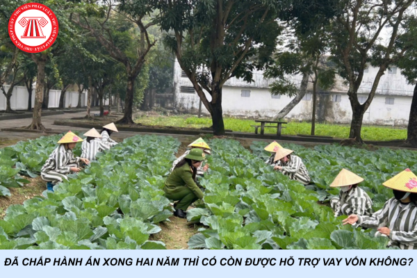 Đã chấp hành án xong hai năm thì có còn được hỗ trợ vay vốn không?