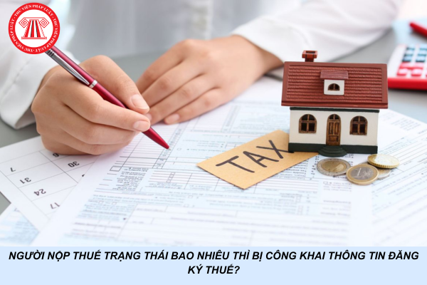 Người nộp thuế trạng thái bao nhiêu thì bị công khai thông tin đăng ký thuế?