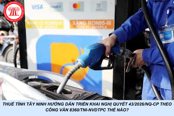 Thuế tỉnh Tây Ninh hướng dẫn triển khai Nghị quyết 43/2026/NQ-CP theo Công văn 8360/TNI-NVDTPC thế nào?