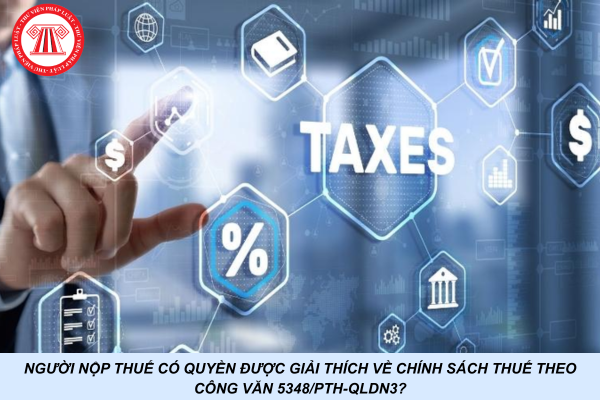 Người nộp thuế có quyền được giải thích về chính sách thuế theo Công văn 5348/PTH-QLDN3?