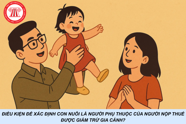 Điều kiện để xác định con nuôi là người phụ thuộc của người nộp thuế được giảm trừ gia cảnh?