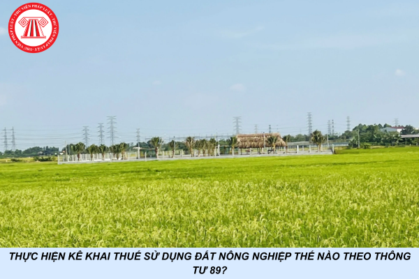 Thực hiện kê khai thuế sử dụng đất nông nghiệp thế nào theo Thông tư 89?