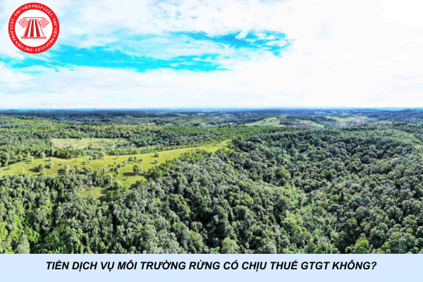 Tiền dịch vụ môi trường rừng có chịu thuế GTGT không?