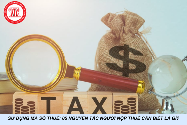 Sử dụng mã số thuế: 05 nguyên tắc người nộp thuế cần biết là gì?