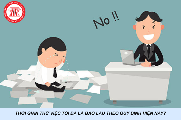 Thời gian thử việc tối đa là bao lâu theo quy định hiện nay?
