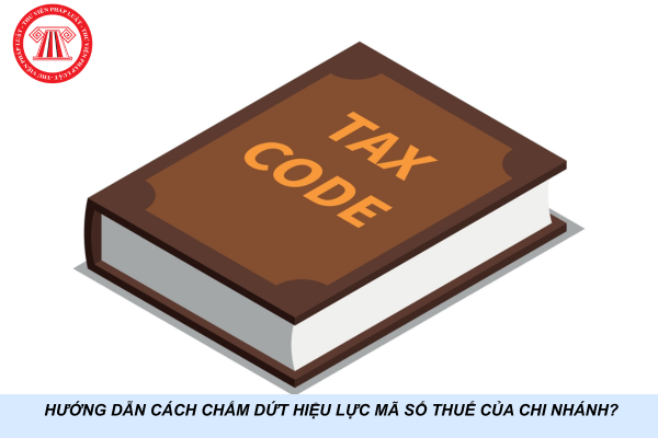 Hướng dẫn cách chấm dứt hiệu lực mã số thuế của chi nhánh?