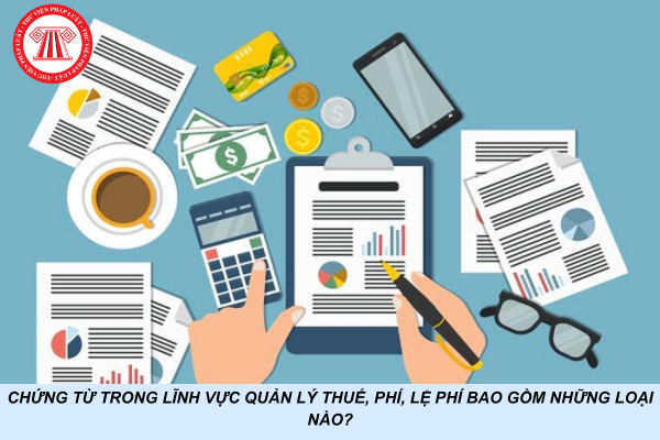 Chứng từ trong lĩnh vực quản lý thuế, phí, lệ phí bao gồm những loại nào?
