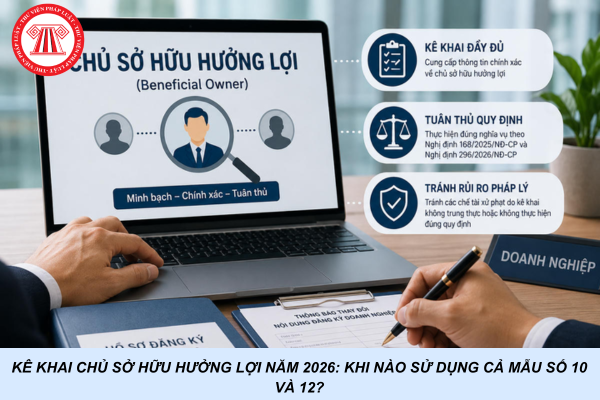 Kê khai chủ sở hữu hưởng lợi năm 2026: Khi nào sử dụng cả Mẫu số 10 và 12?