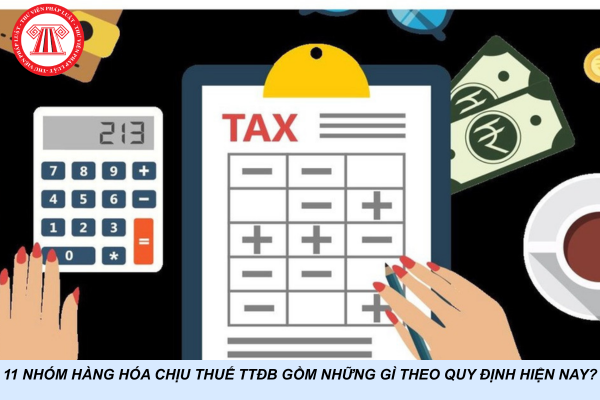 11 nhóm hàng hóa chịu thuế TTĐB gồm những gì theo quy định hiện nay?