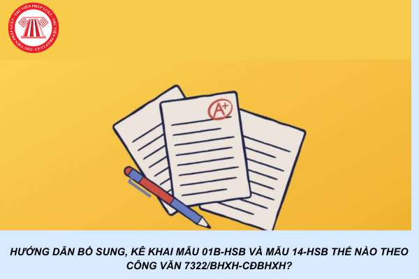 Triển khai bổ sung, kê khai Mẫu 01B-HSB và Mẫu 14-HSB theo Công văn 7322/BHXH-CĐBHXH từ ngày nào?