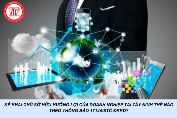 Kê khai chủ sở hữu hưởng lợi của doanh nghiệp tại Tây Ninh thế nào theo Thông báo 17144/STC-ĐKKD?