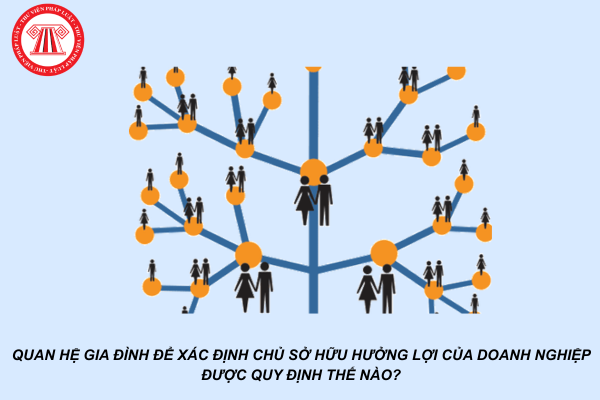 Quan hệ gia đình để xác định chủ sở hữu hưởng lợi của doanh nghiệp được quy định thế nào?