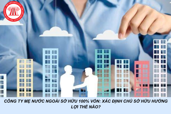 Công ty mẹ nước ngoài sở hữu 100% vốn: Xác định chủ sở hữu hưởng lợi thế nào?