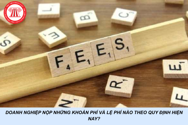 Doanh nghiệp nộp những khoản phí và lệ phí nào theo quy định hiện nay?
