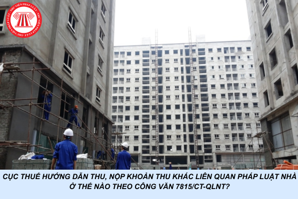 Cục Thuế hướng dẫn thu, nộp khoản thu khác liên quan pháp luật nhà ở thế nào theo Công văn 7815/CT-QLNT?